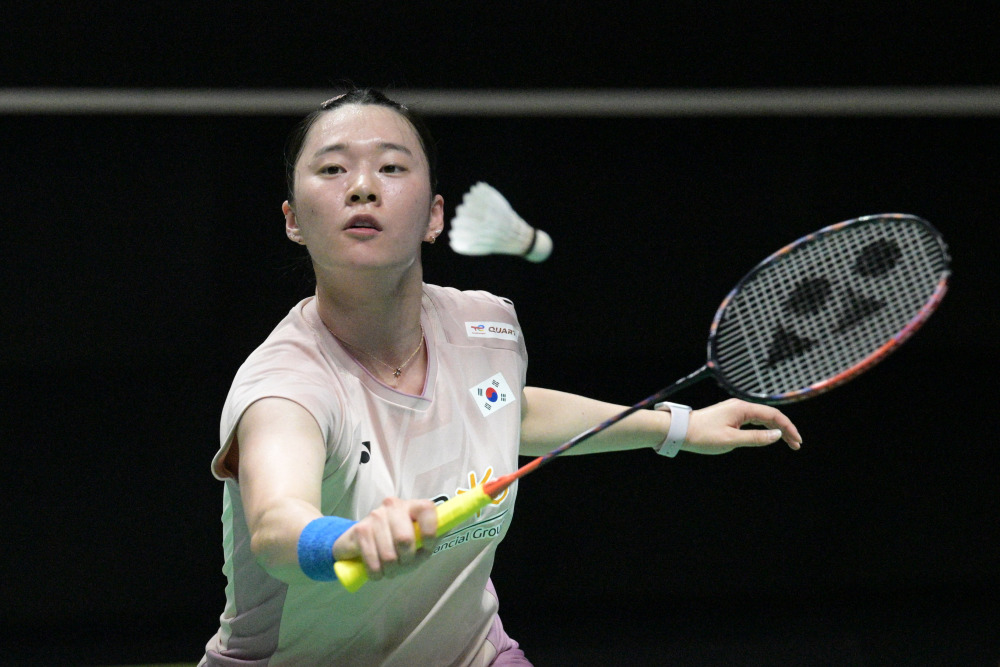 提供简短 提供简短